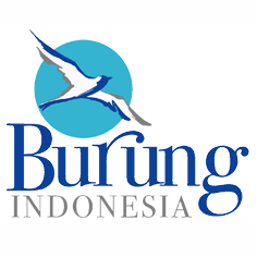  Lowongan  Kerja  Bogor FINANCE and ACCOUNTING Burung  Indonesia 