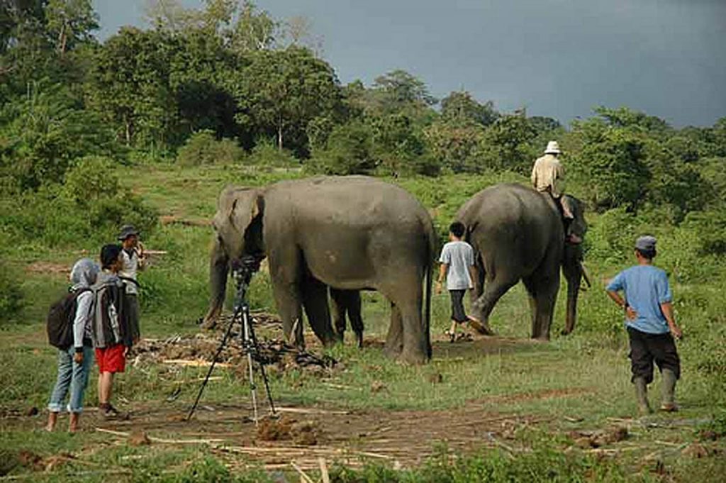 Pusat Latihan Gajah Seblat