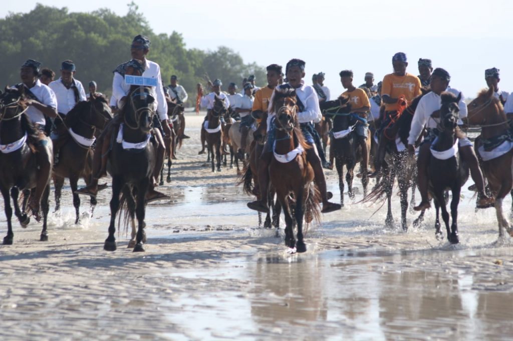 Parade 1001 Kuda Sandelwood 2018 - Wisata Sumba - 4