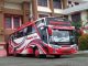 Bus Khatulistiwa Trans - palu makassar - @khatulistiwa_trans