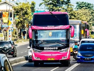 Foto Gambar Bus Handoyo - @andiswp