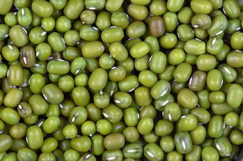 Foto Gambar Kacang Hijau - Makanan sehat untuk ibu hamil - Sanjay Acharya wikipedia