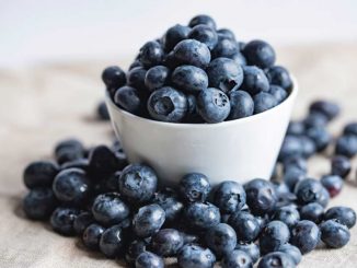 Manfaat Blueberry Bagi Kesehatan Tubuh Manusia - joanna kosinska 4qujjbj3srs unsplash